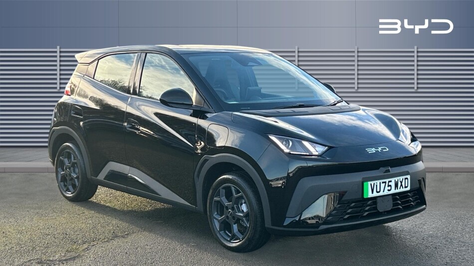 BYD Dolphin Surf 65kW Boost 43kWh 5dr Auto Electric Hatchback